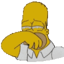 Homer cry
